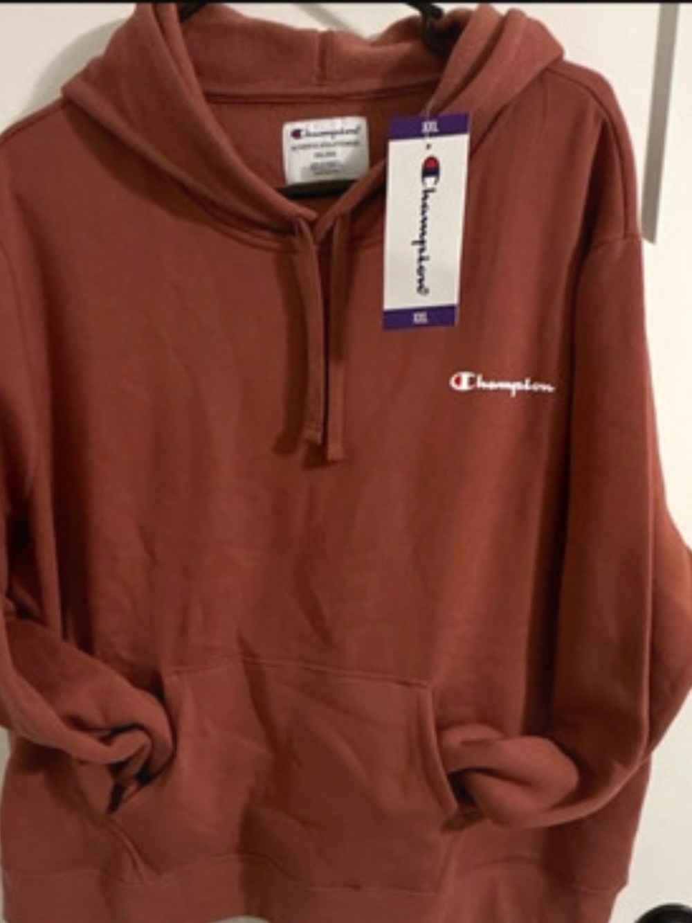 Champion Rusty Terracotta Pullover Hoodie